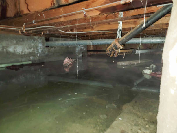 Best Water damage cleanup near me  in Twinsburg Heights, OH