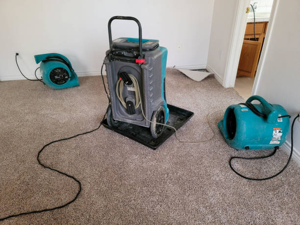 Best 24-hour water damage restoration  in Twinsburg Heights, OH