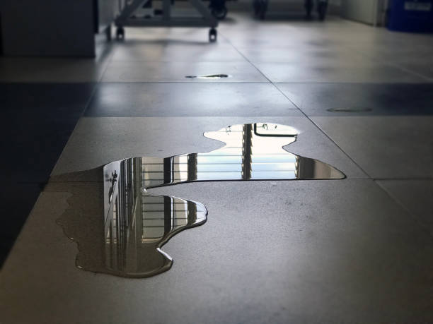 Best Water damage contractors near me  in Twinsburg Heights, OH