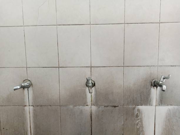 Best Mold removal after water damage  in Twinsburg Heights, OH